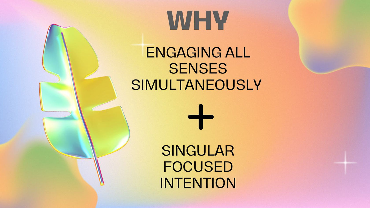 Subscription to Sensory Chakra Gift Box Collection and Immersive Community Workshops