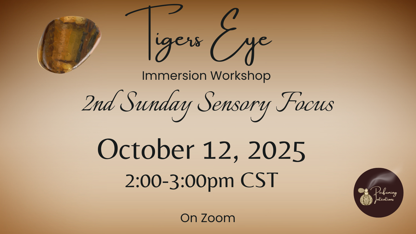 Tiger's Eye Sensory Immersion Workshop only