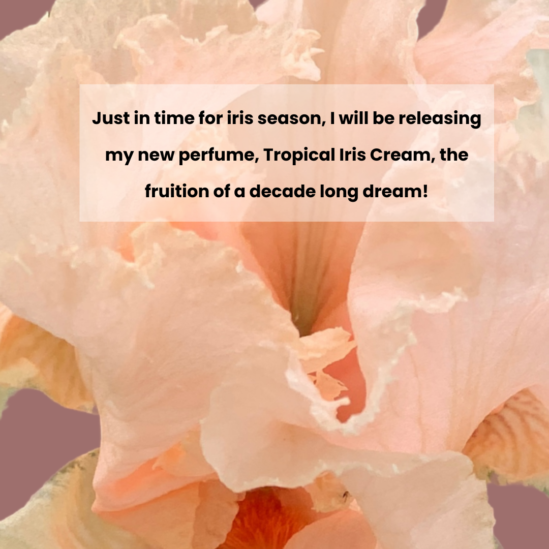 Tropical Iris Cream Perfume- 15ml