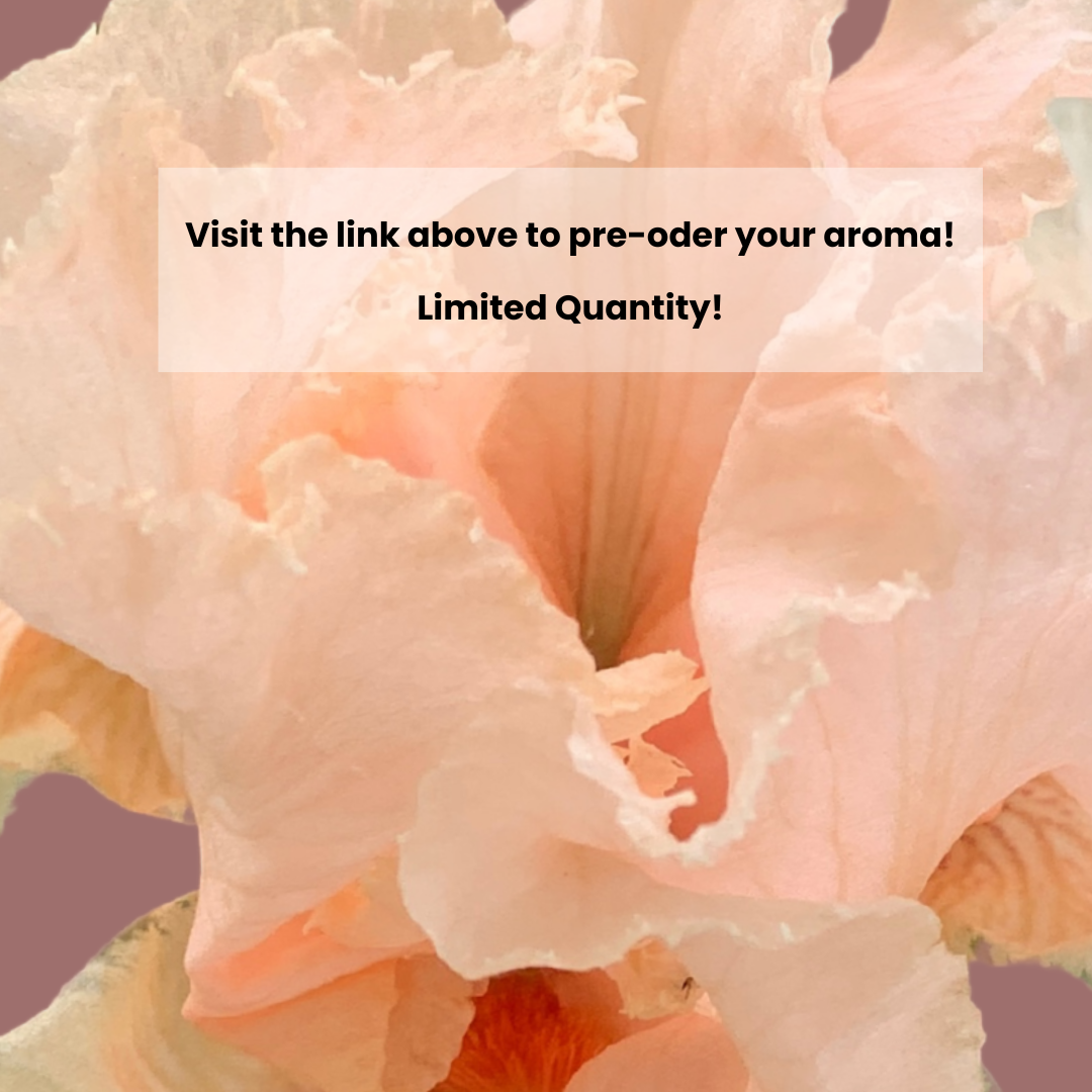 Tropical Iris Cream Perfume- 30ml