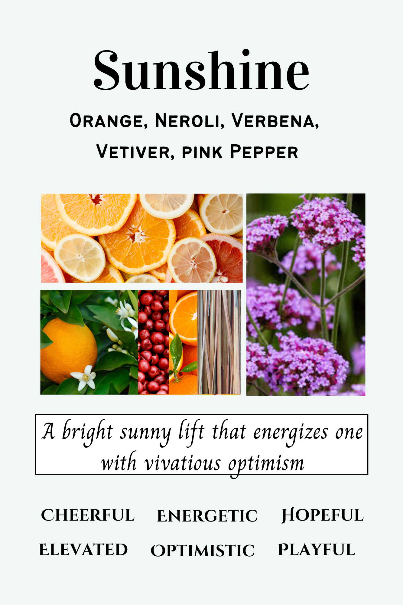 Summer Scent Bar