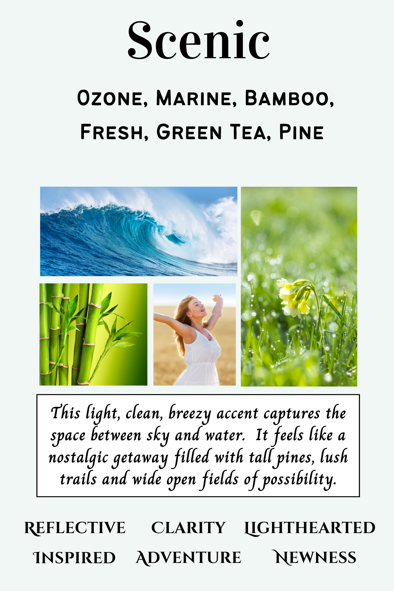 Summer Scent Bar