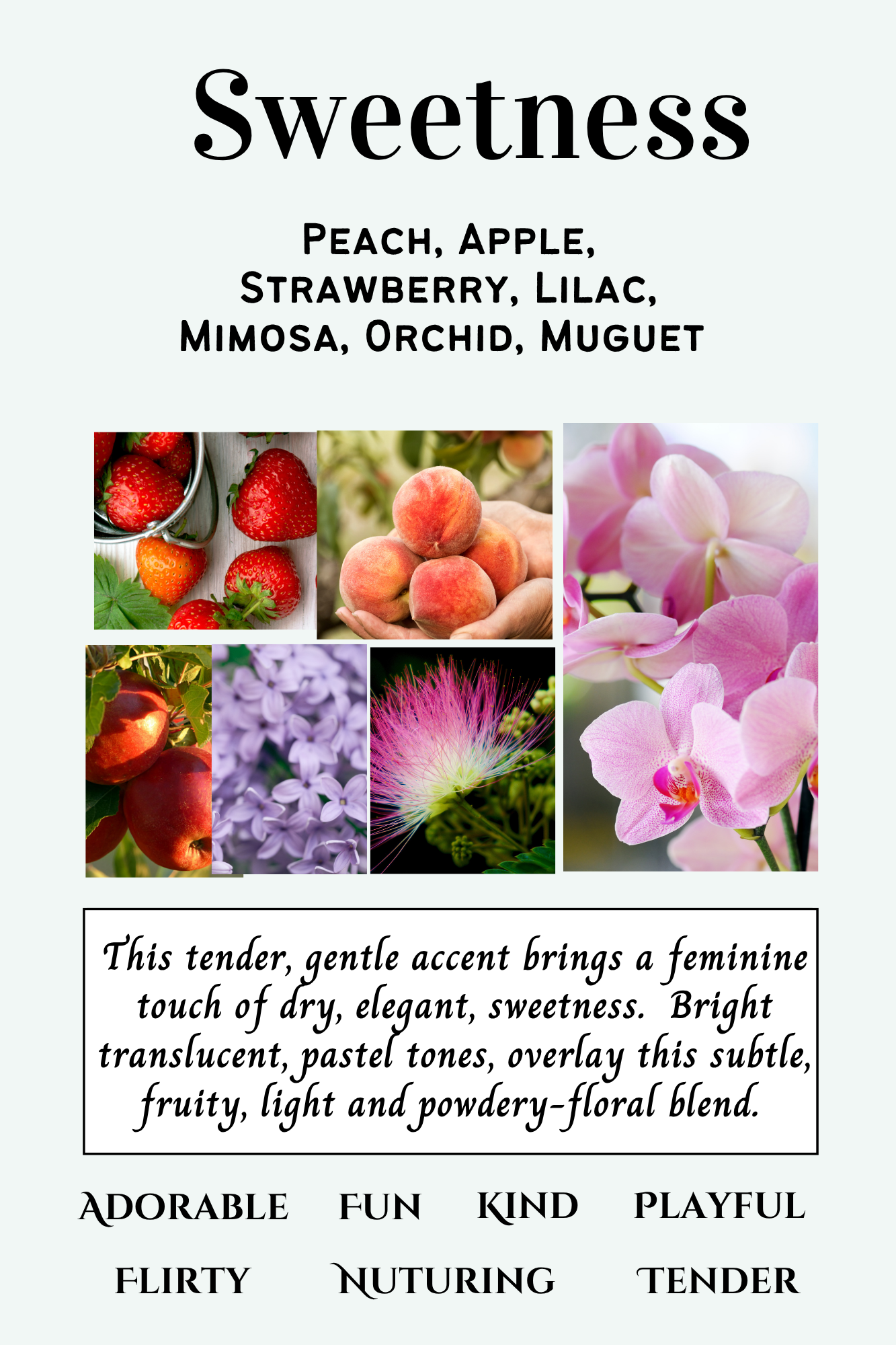 Summer Scent Bar