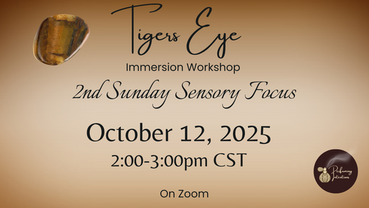 Tiger's Eye Sensory Immersion Workshop only
