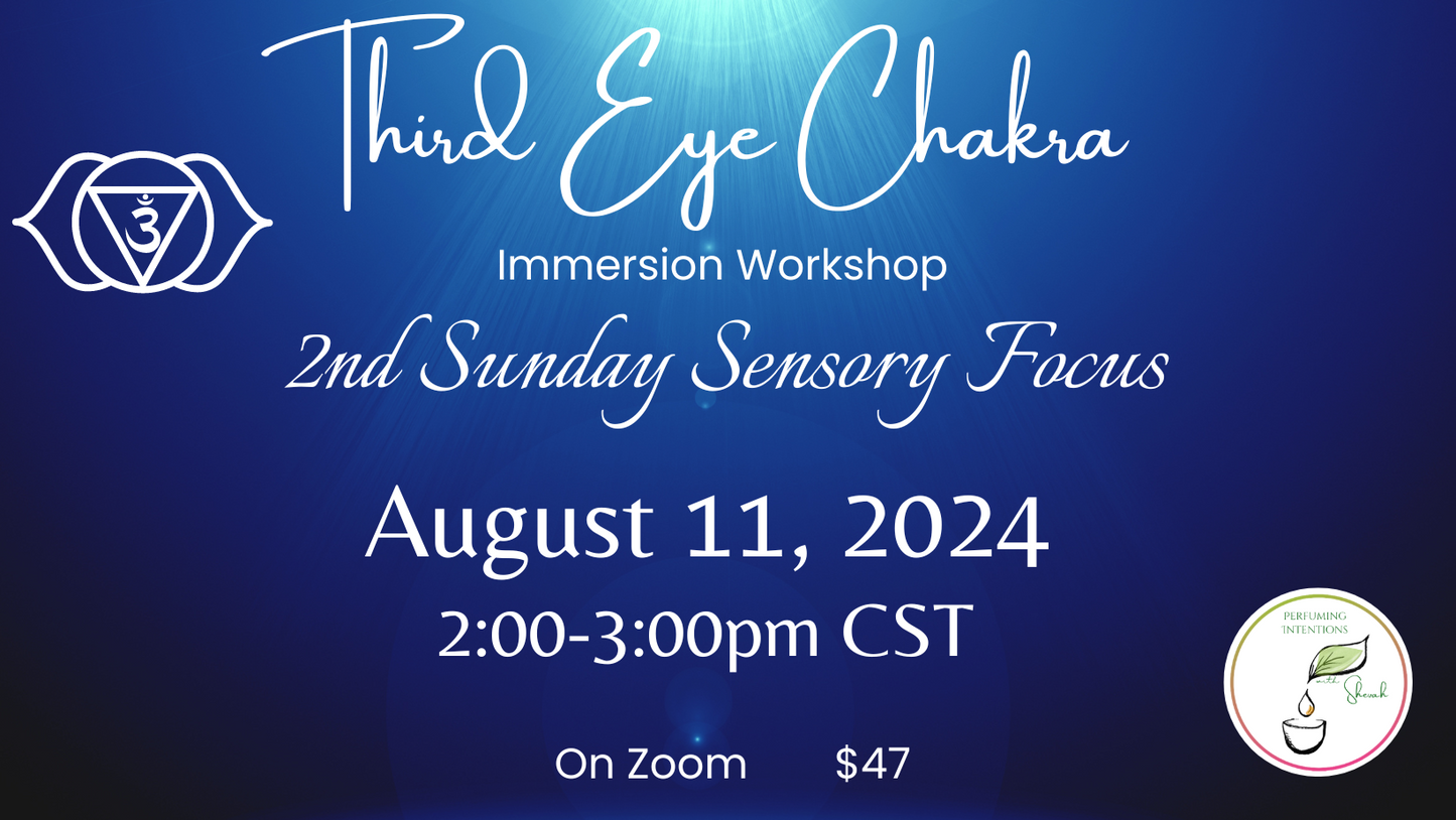 Third Eye Chakra (Vision) Sensory Immersion Workshop only