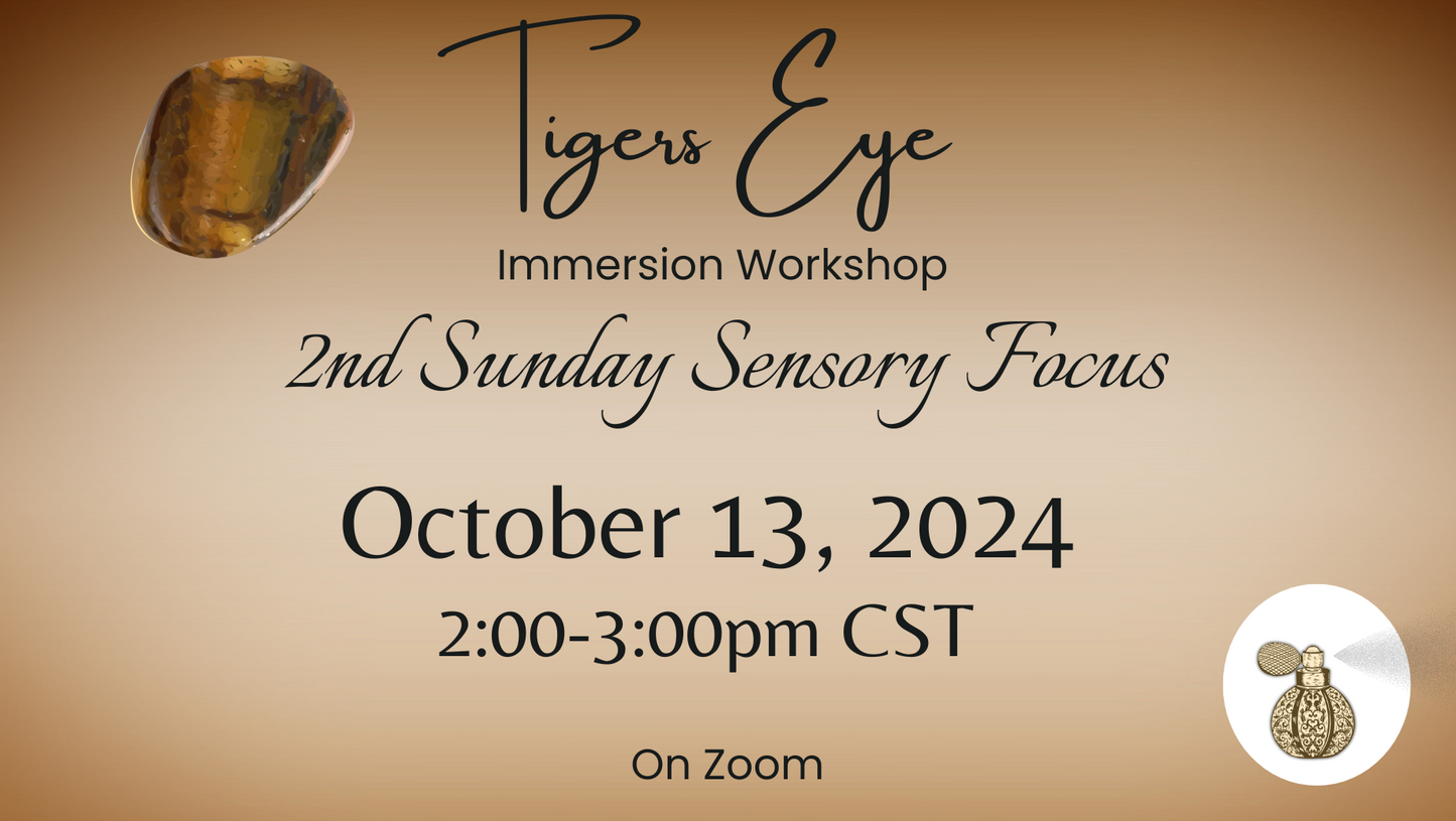 Tiger's Eye Sensory Immersion Workshop only